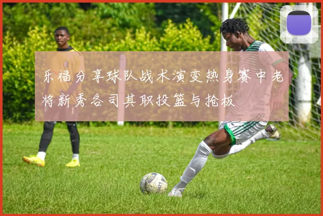 乐福分享球队战术演变热身赛中老将新秀各司其职投篮与抢板